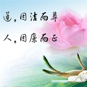 ���l(xi��ng)��Ͷ�����h(yu��n)�̱O(ji��n)���c�����L(f��ng)�U(xi��n)����ϵ�y(t��ng)